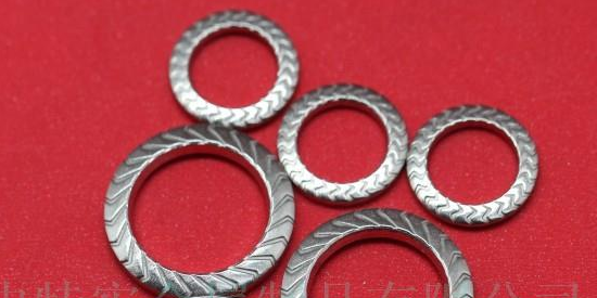 碳鋼、不銹鋼304、316SKZ型法式墊圈